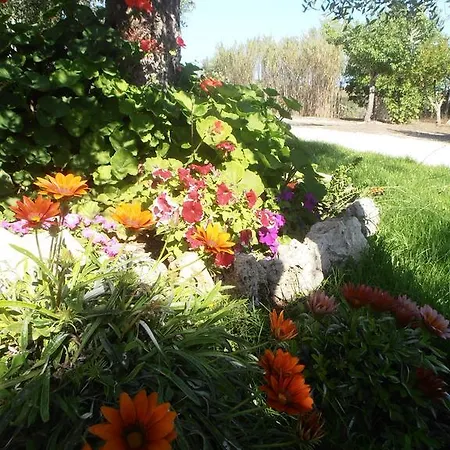 Bed & Breakfast Il Corallo Del Salento *
