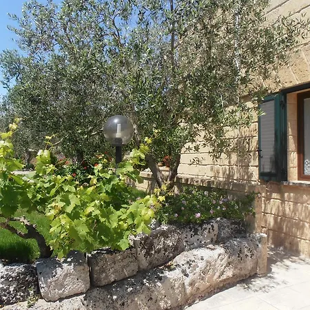 Il Corallo Del Salento Vignacastrisi